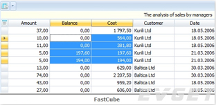 FastReport ASP.NET MVC